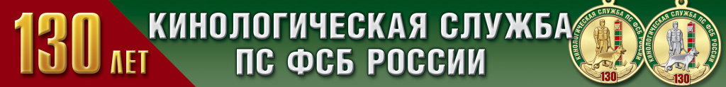 banner.jpg