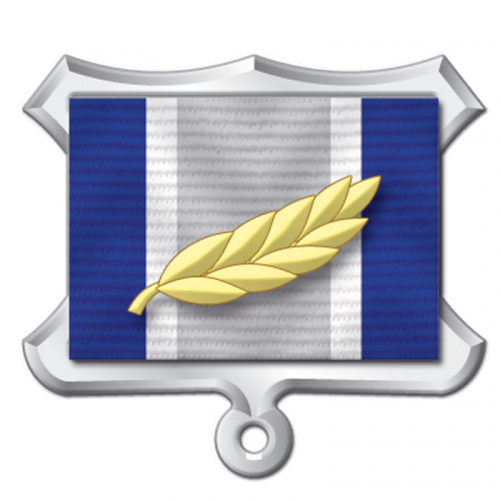 к5-с-веточкой с лентой № 762