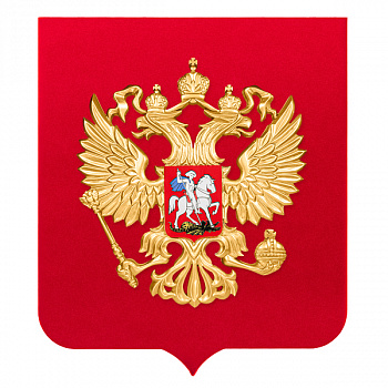 DSC_0505