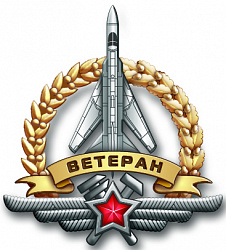фото 20ап Значок лацканный "Ветеран инженерно-авиационной службы ВВС России"