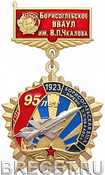 фото Знак нагрудный "95 лет Борисоглебской высшей школы летчиков"