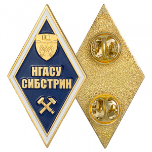 фото Нагрудный академический знак "НГАСУ СИБСТРИН", латунь
