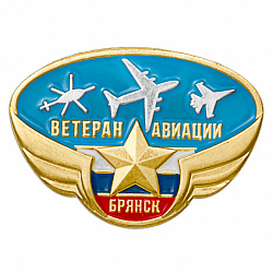фото Значок общества ветеранов авиации имени дважды Героя Советского Союза П.М. Комозина "Ветеран авиации"