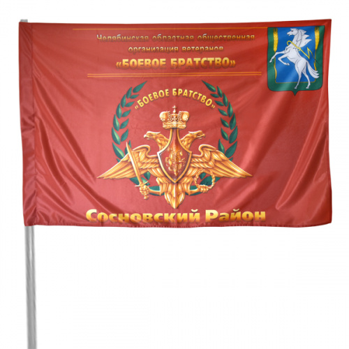 флаг_боевое-братство_флажная-сетка