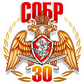 фото 30 лет отрядам СОБР Росгвардии