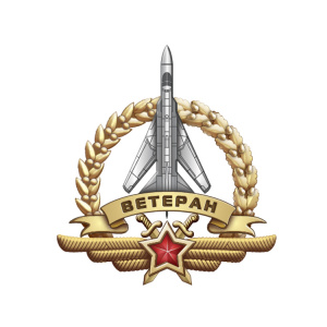 фото  Знак "Лётчик-ветеран ВВС России", латунь с серебрением