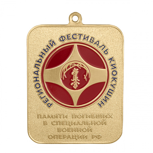 фото Комплект спортивных медалей "Региональный фестиваль Киокушин - памяти погибших в специальной военной операции РФ"