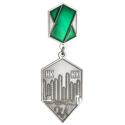 фото Памятный почетный знак Лемаева Н.В