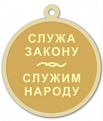 фото R03 Реверс медали Служа закону – служим народу