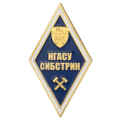фото Нагрудный академический знак "НГАСУ СИБСТРИН", латунь