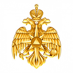 фото 13гин Знак 01 "Герб МЧС" латунь