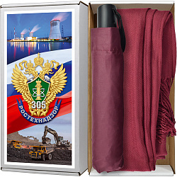 фото 36ртн Набор подарочный для женщин с зонтом и шарфом (палантином), бордовый