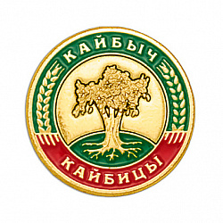 фото Значок "Кайбыч - Кайбицкого района республики Татарстан"