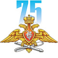 фото 75 лет Армейской авиациии ВКС РФ