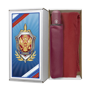 фото 39нак Набор подарочный для женщин с зонтом и шарфом (палантином), бордовый