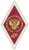 фото Нагрудный академический знак "Выпускник ЧелГУ"